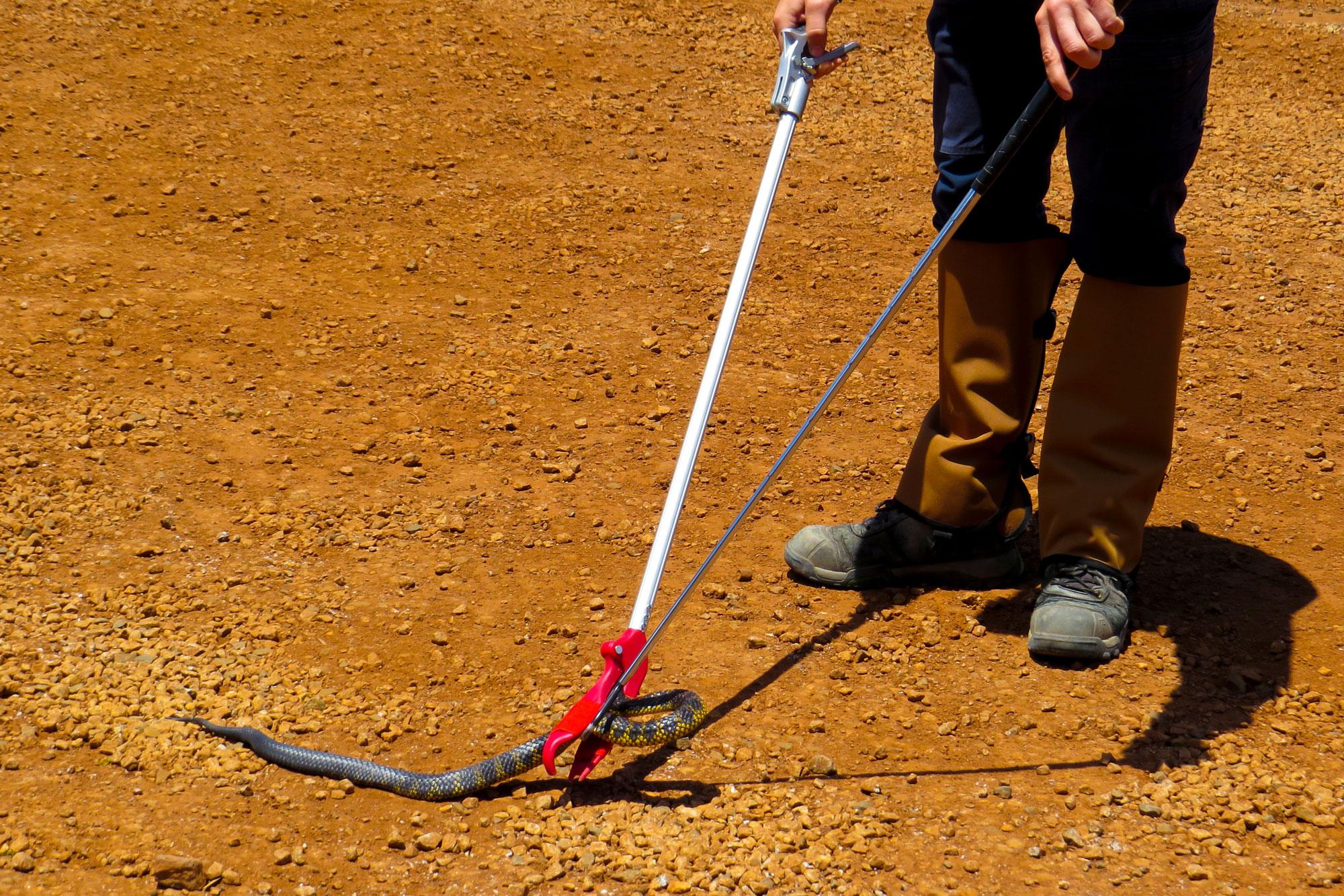 Snake Control Power Vector Control - ProPest Control